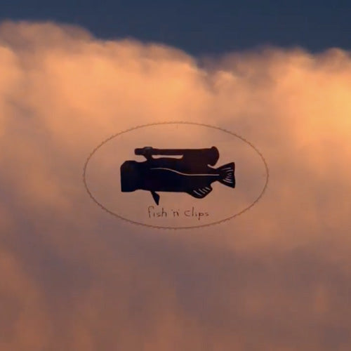 Fish 'n' Clips - By Colin Brattey